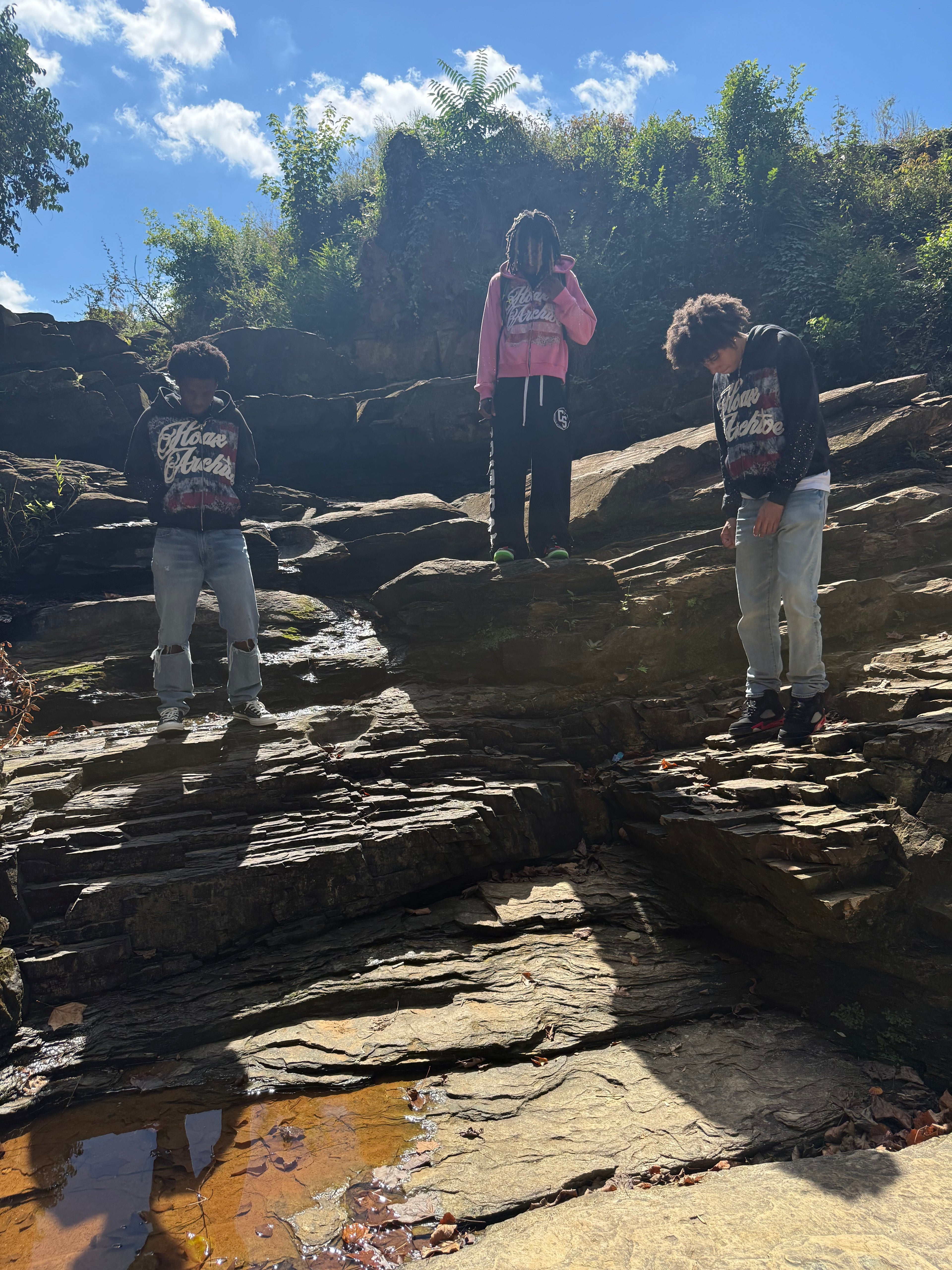 PINK Hoax In America Hoodie