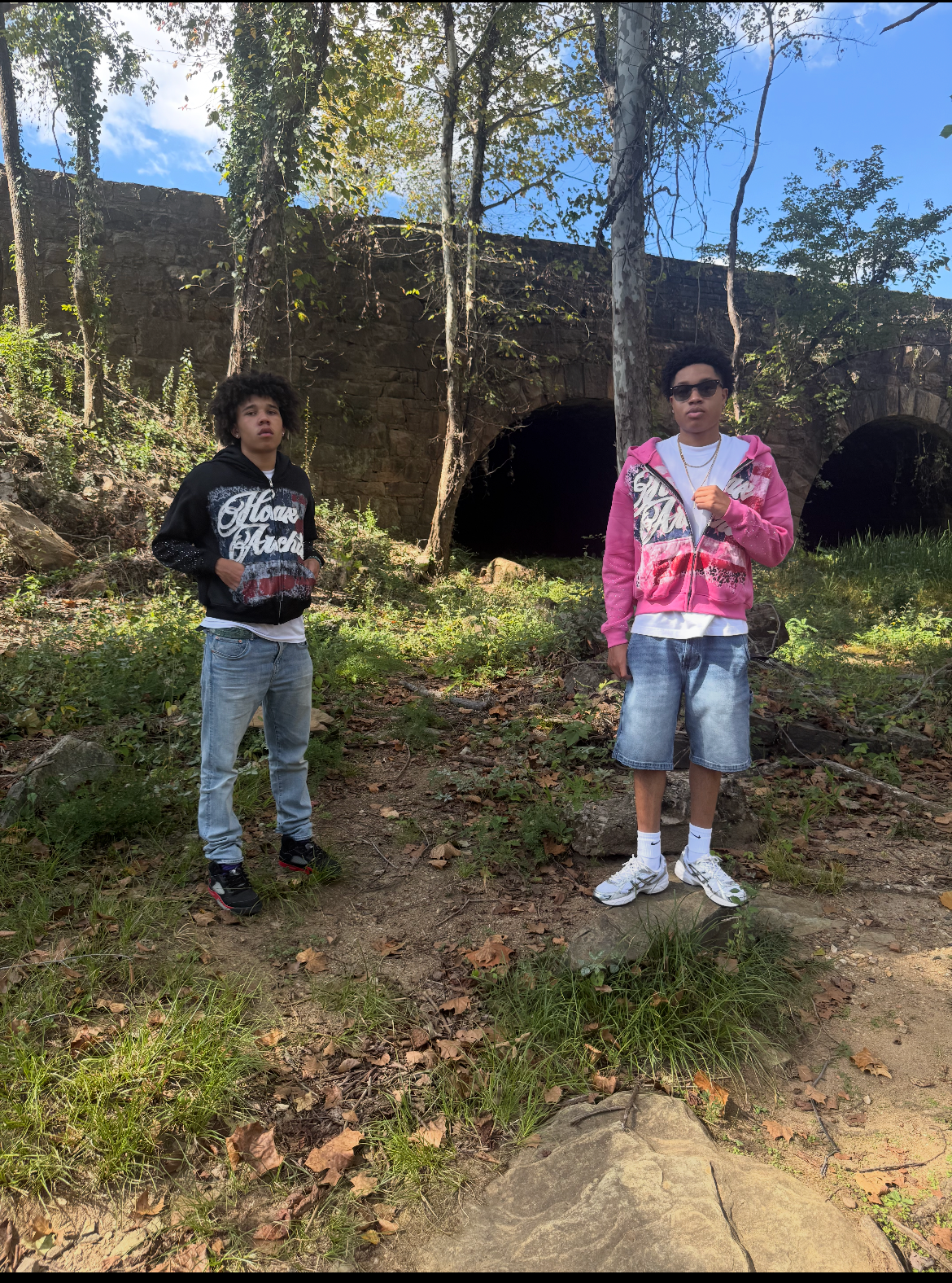 PINK Hoax In America Hoodie