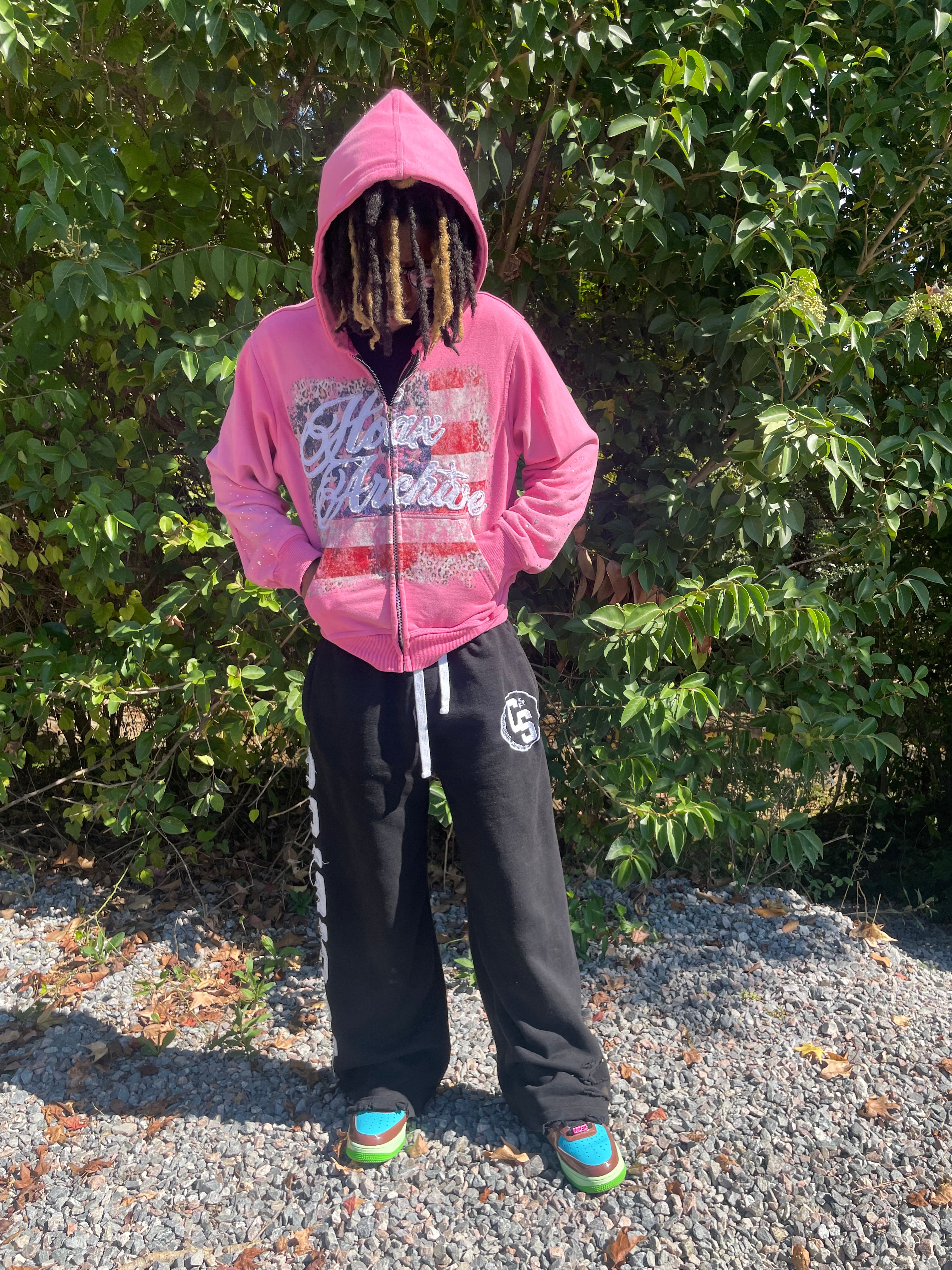 PINK Hoax In America Hoodie